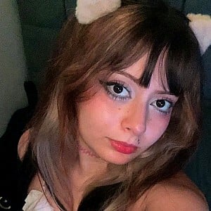 Sofia Kitty