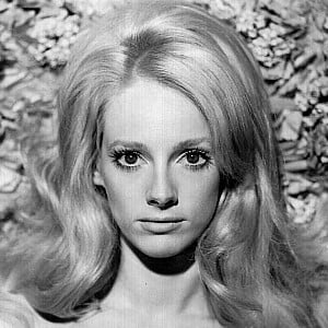 Sondra Locke