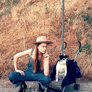 Stevie Wynne Levine
