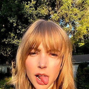 Stevie Wynne Levine