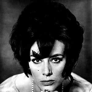 Sue Lloyd