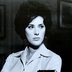 Sue Lloyd