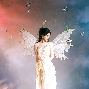 Sun Zhenni