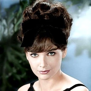 Suzanne Pleshette