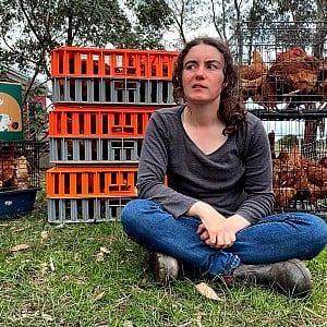 Tara Farms