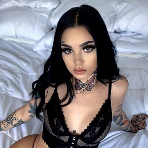 Taylor White