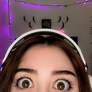 Thekaymaster