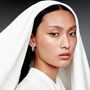 Tinglei Liu