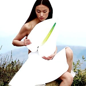 Tinglei Liu