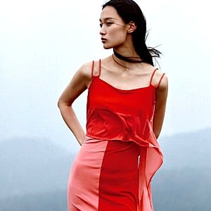 Tinglei Liu