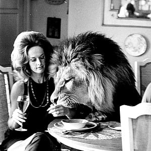 Tippi Hedren