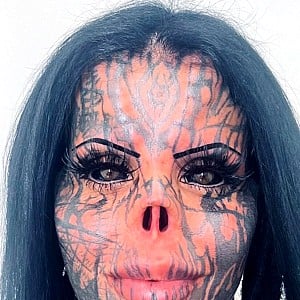 Toxii Bodymod