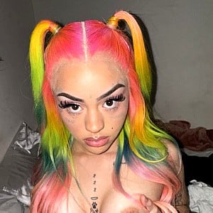 TrapBunnie