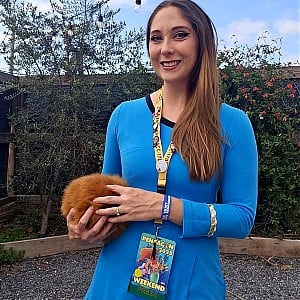 Trekkiebrie