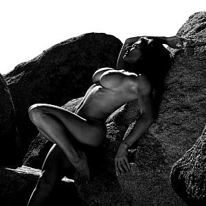 Tyler Stevens