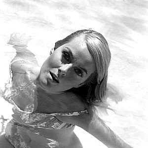 Venita Wolf