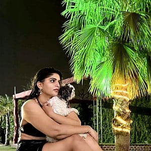 Vinni Chitara