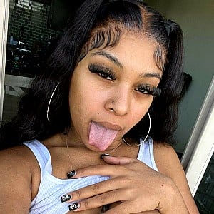 Vixenkayb