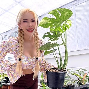 White Spa ASMR