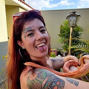 Zara Snake