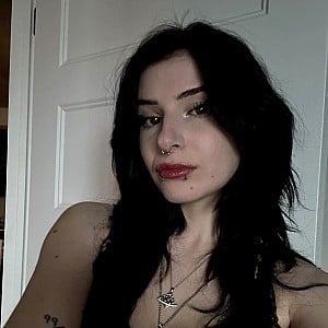 Zastela