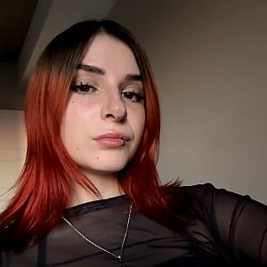 Zastela