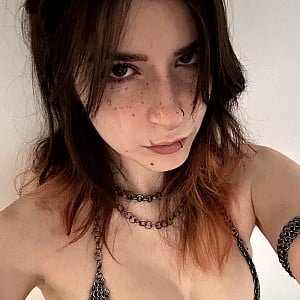 Zastela