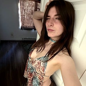 Zastela