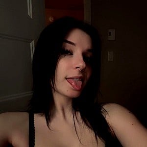 Zastela
