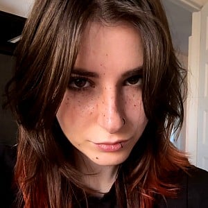 Zastela
