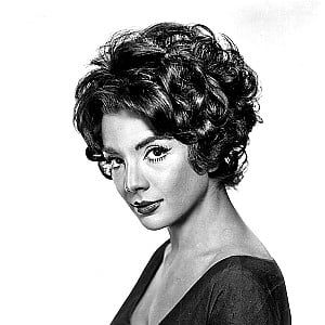 Ziva Rodann