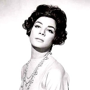 Ziva Rodann