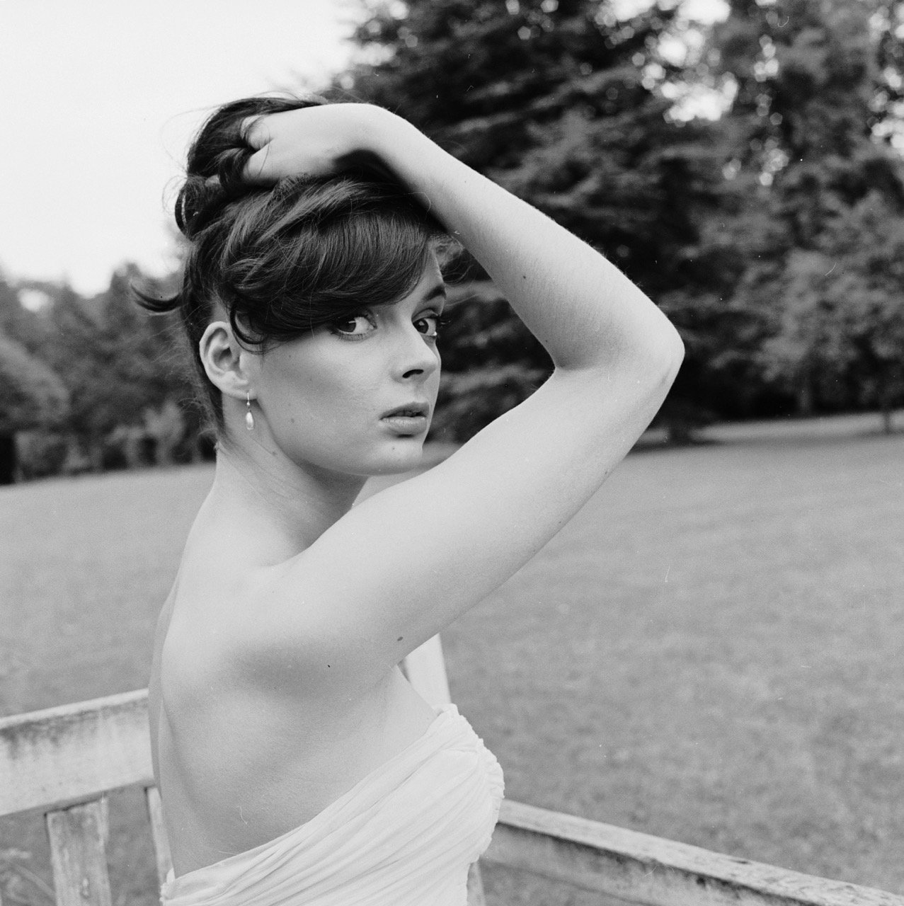 Barbara Steele - Free pics, galleries & more at Babepedia