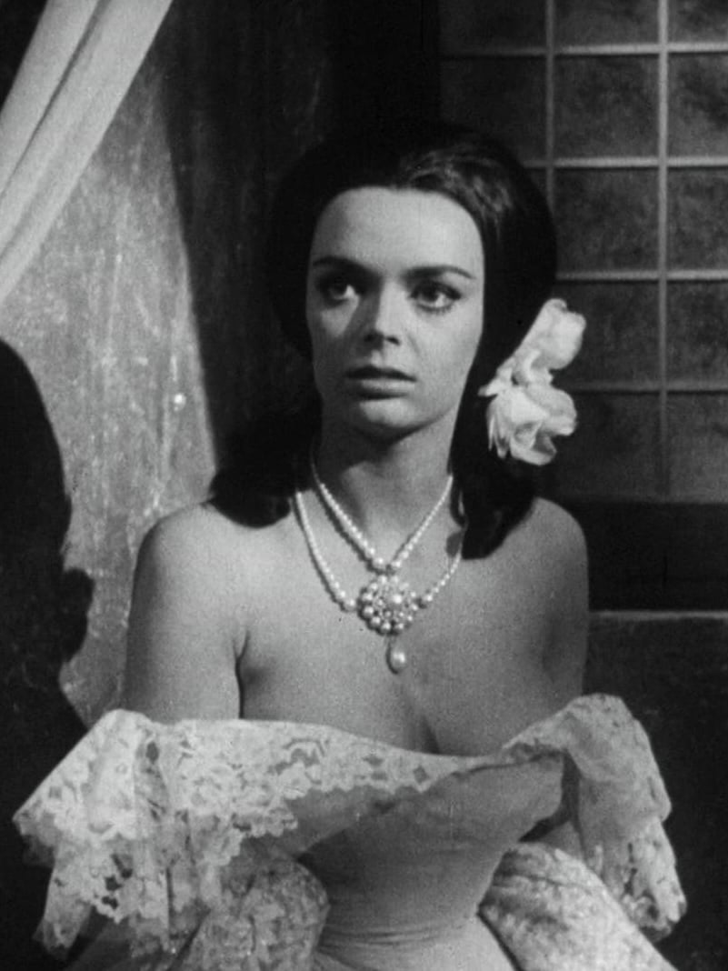 Barbara Steele - Free pics, galleries & more at Babepedia