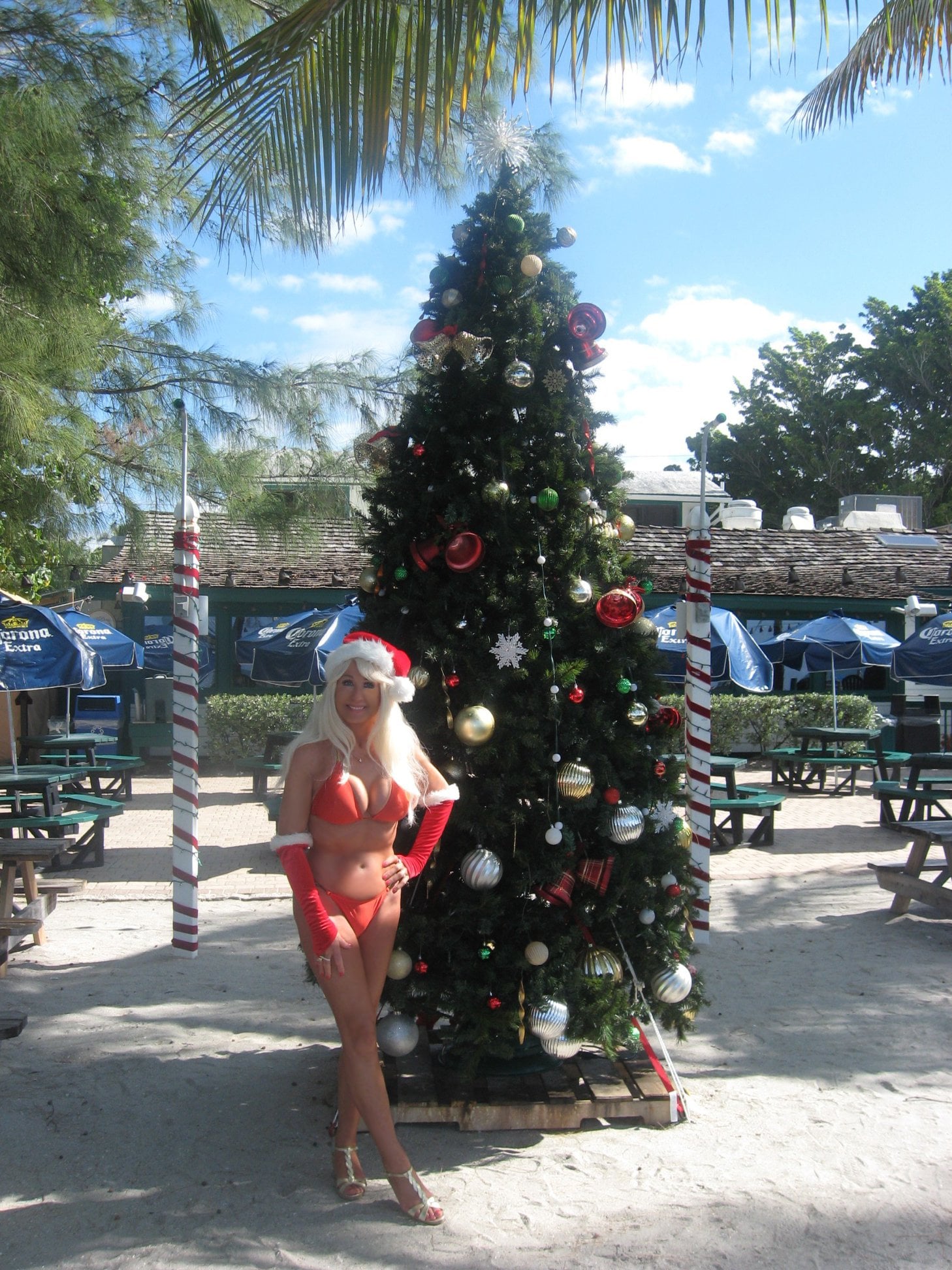 Carole Cale - Modelka