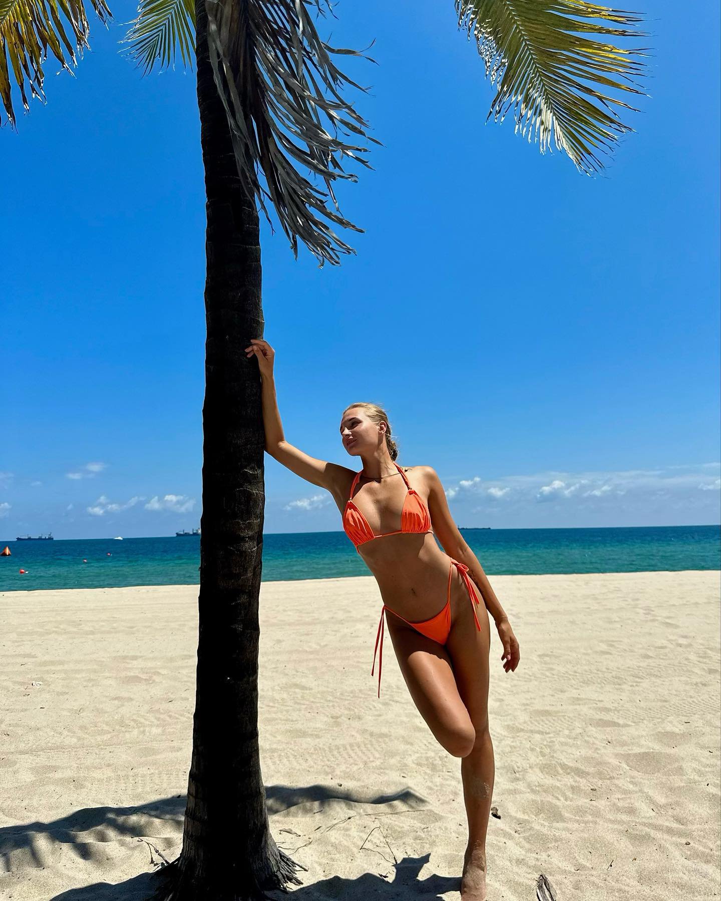 Dayana Yastremska - Free pics, galleries & more at Babepedia