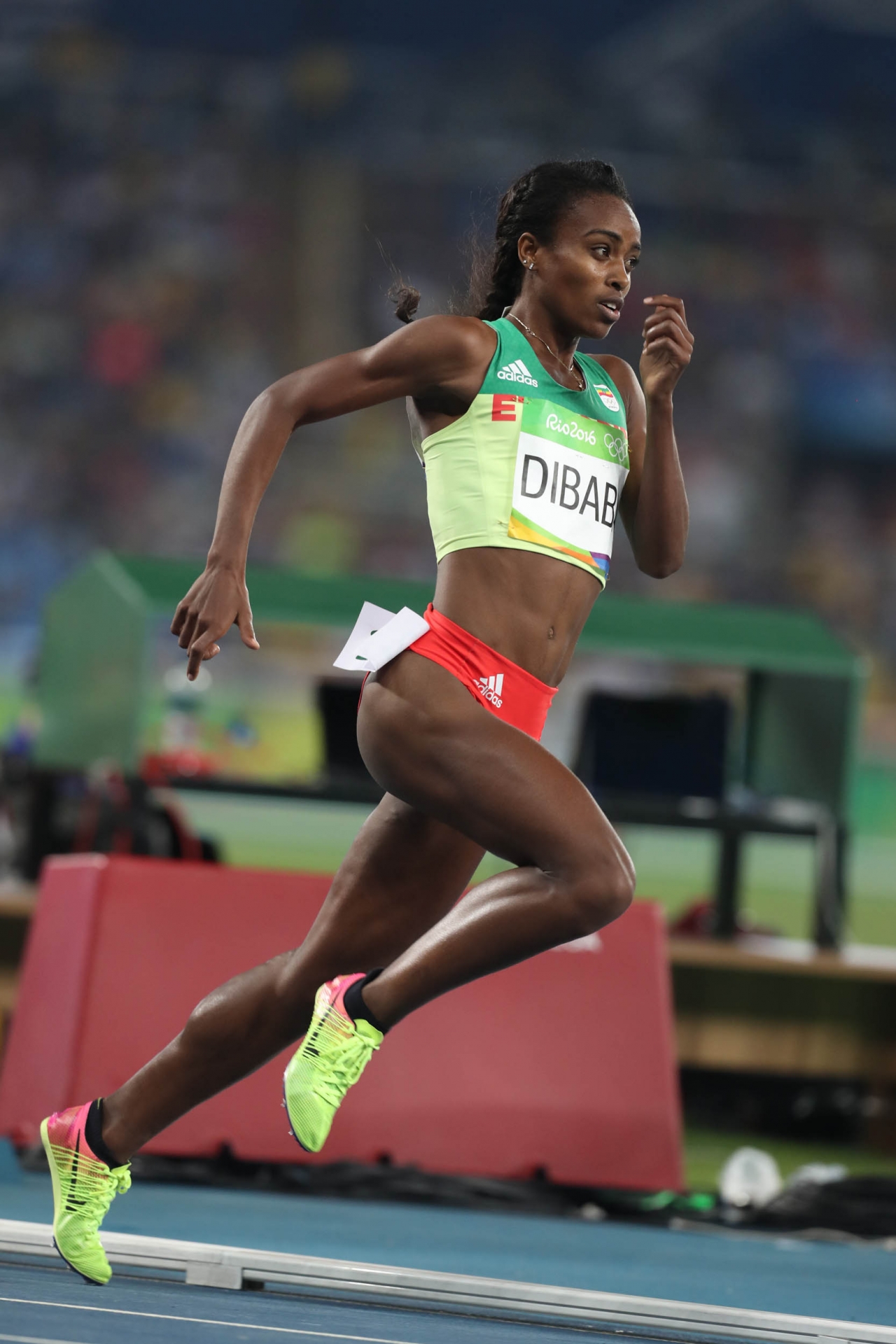 Genzebe Dibaba - Sportsmenka: biegacz