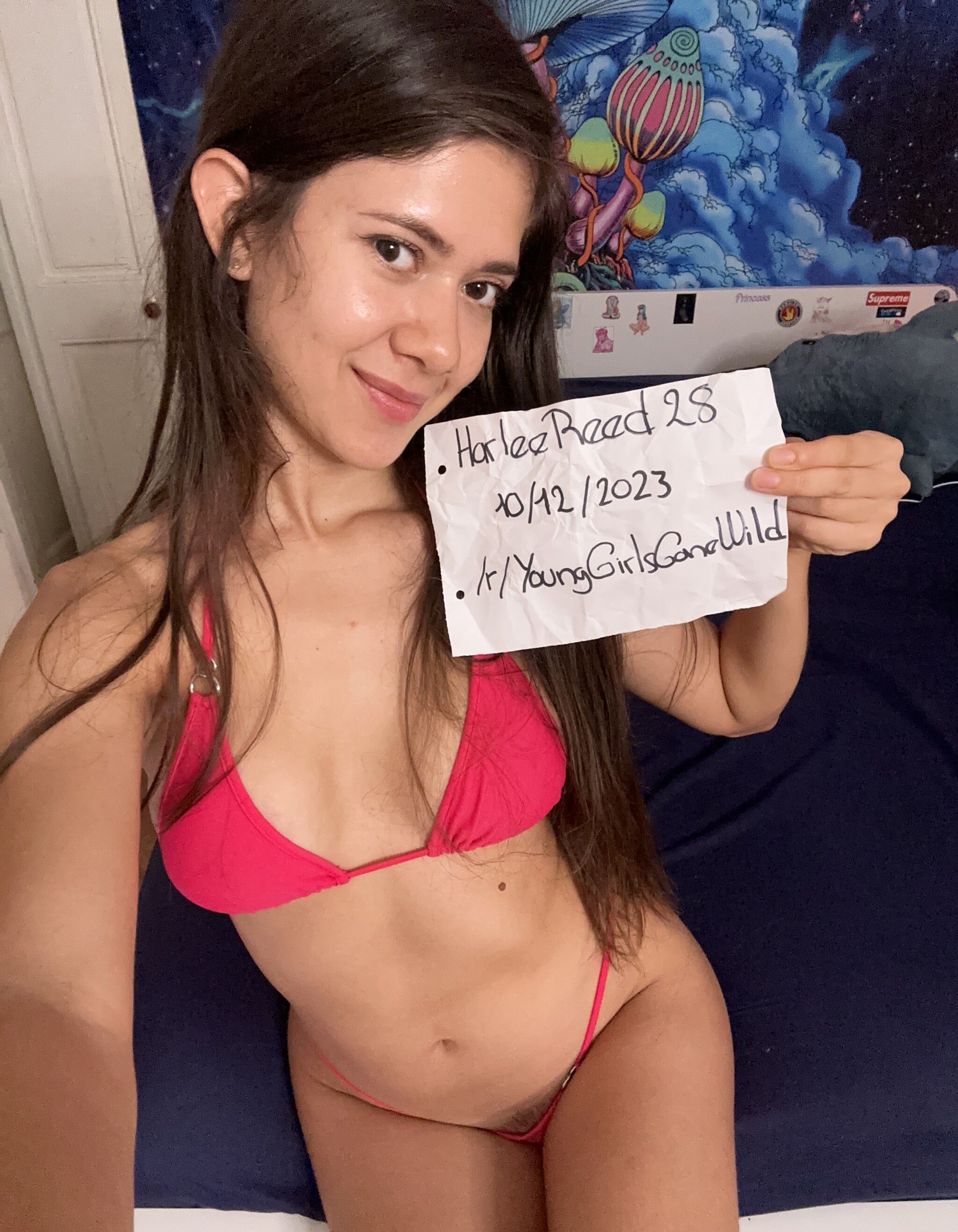 Harlee Reed - Free pics, galleries & more at Babepedia