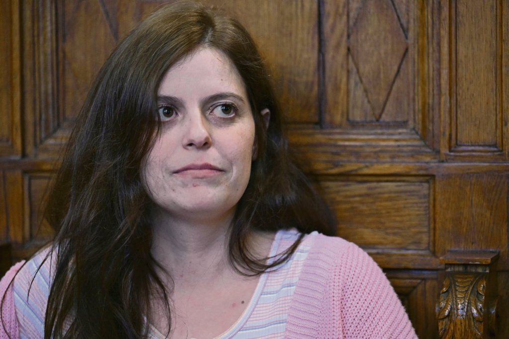 Ilaria Salis - Aktywista, Polityk