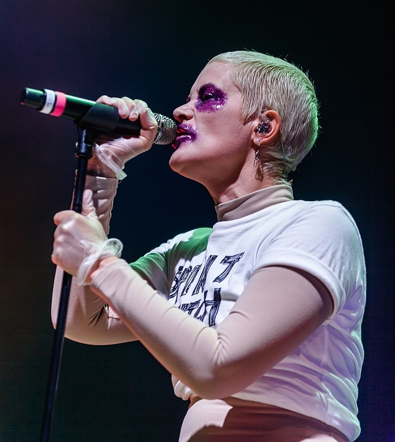 Karin Dreijer - Muzyk, Producentka