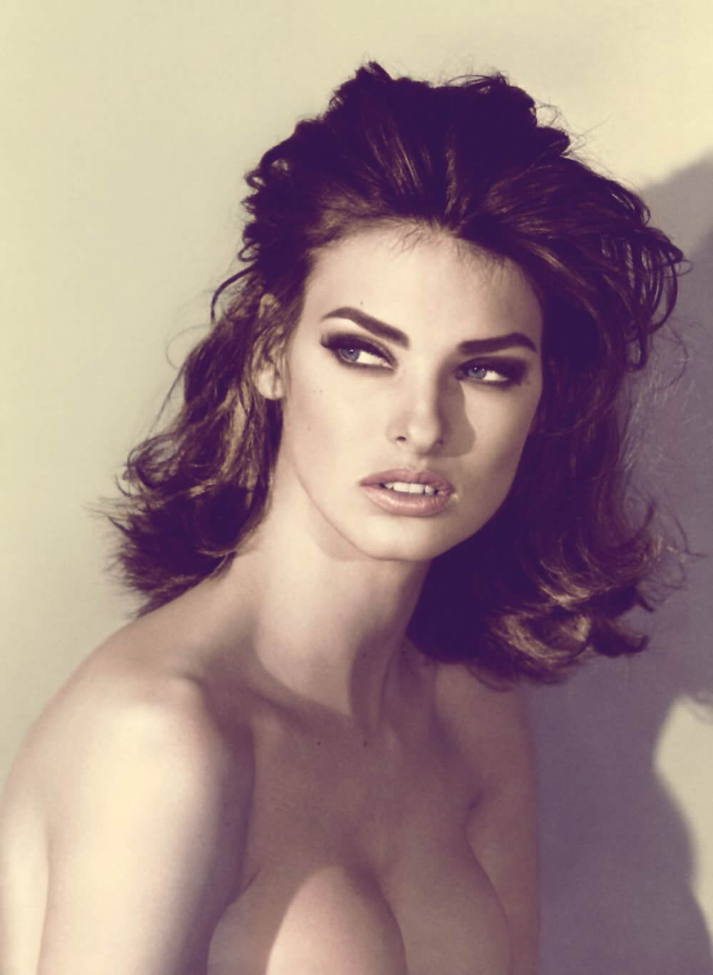 Linda Evangelista - Free pics, galleries & more at Babepedia