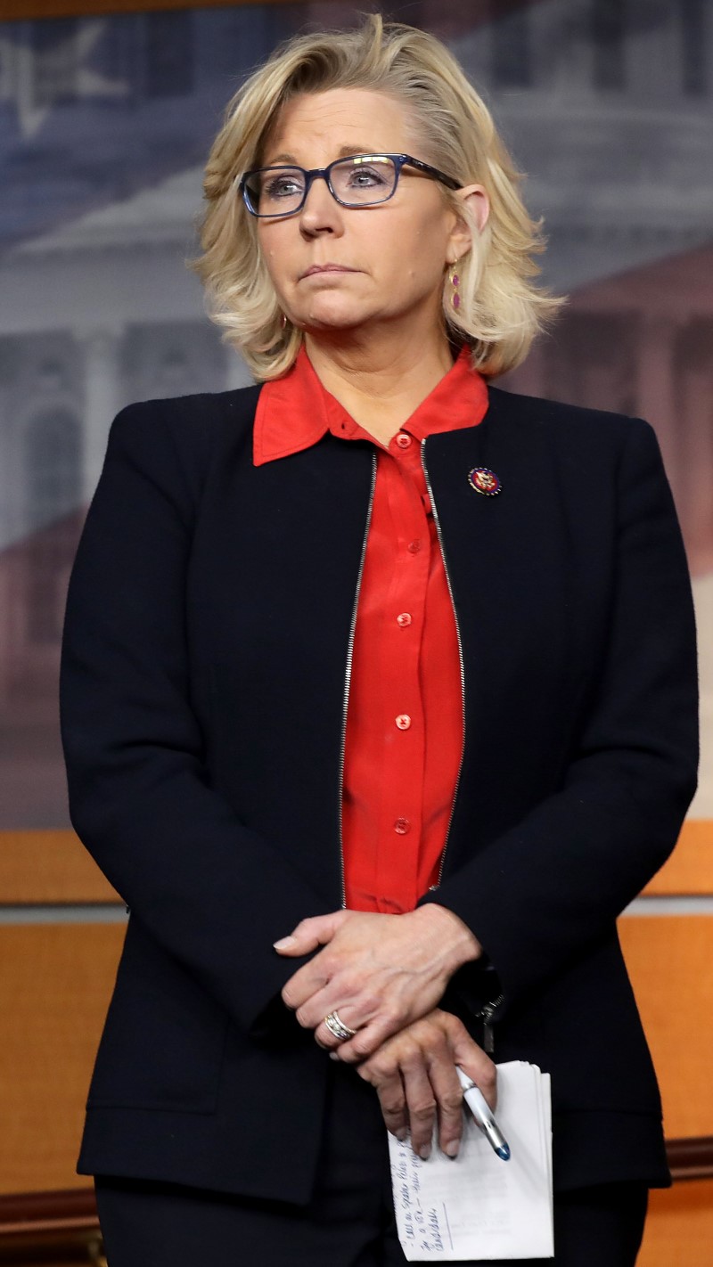 Liz Cheney - Polityk