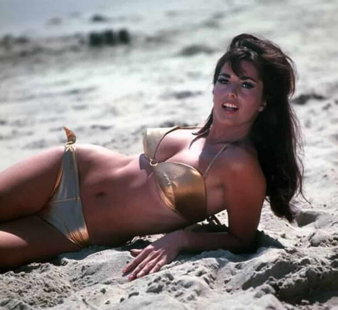 Lori Saunders - Free pics, galleries & more at Babepedia