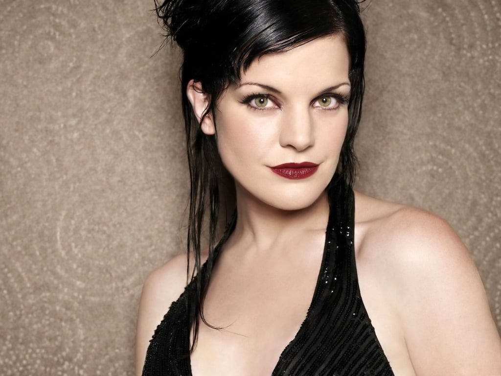 Pauley Perrette - Free pics, galleries & more at Babepedia