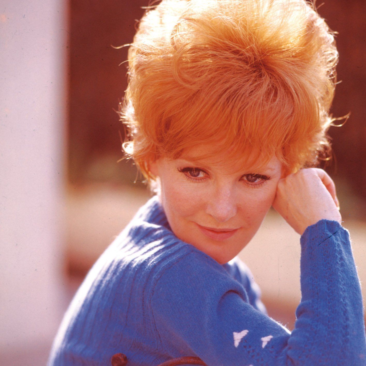 Petula Clark - Free pics, galleries & more at Babepedia