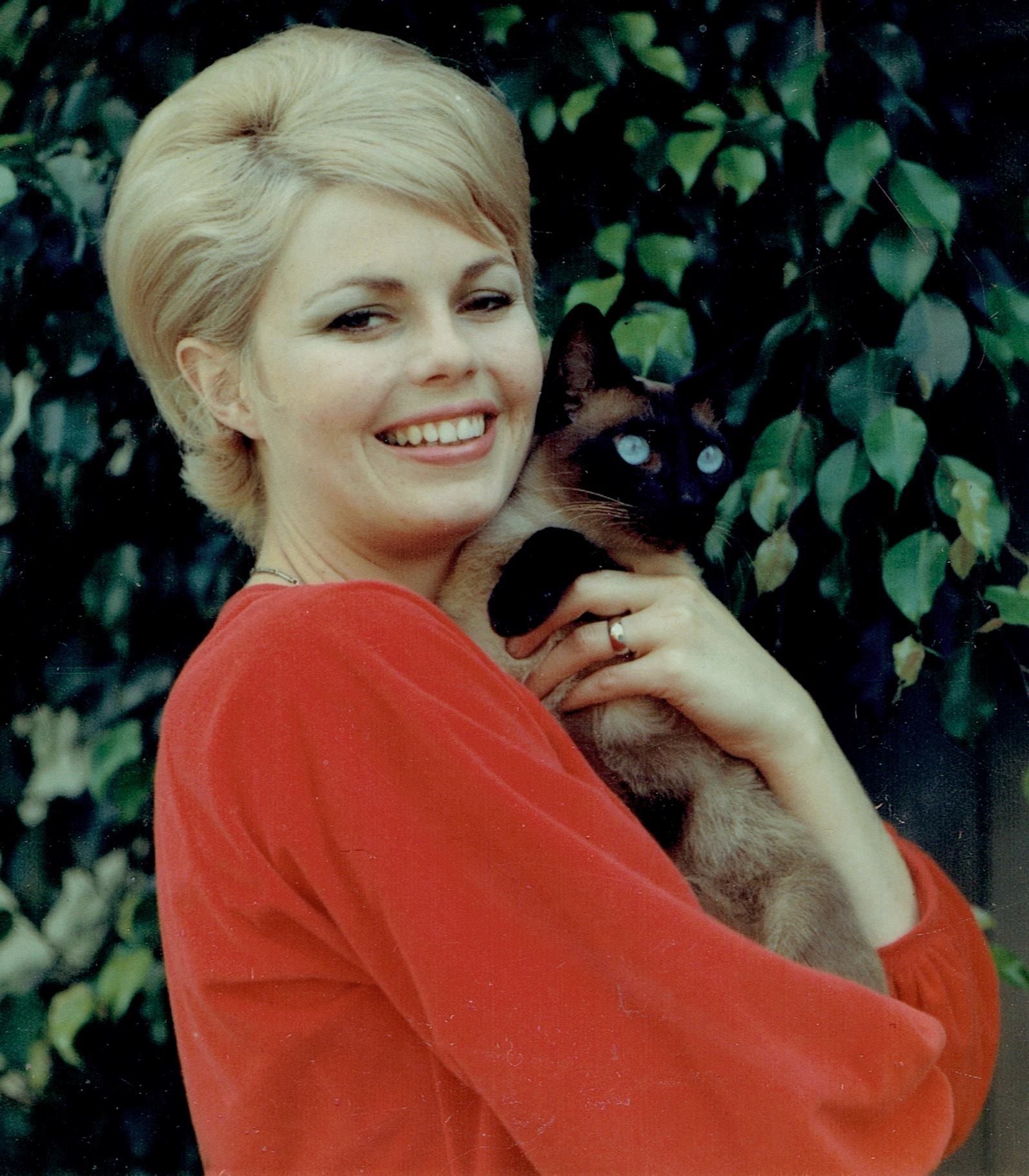 Toni Tennille - Free pics, galleries & more at Babepedia