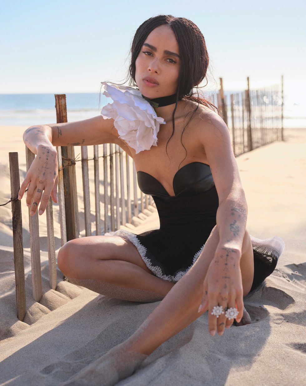 Zoe Kravitz - Free pics, galleries & more at Babepedia